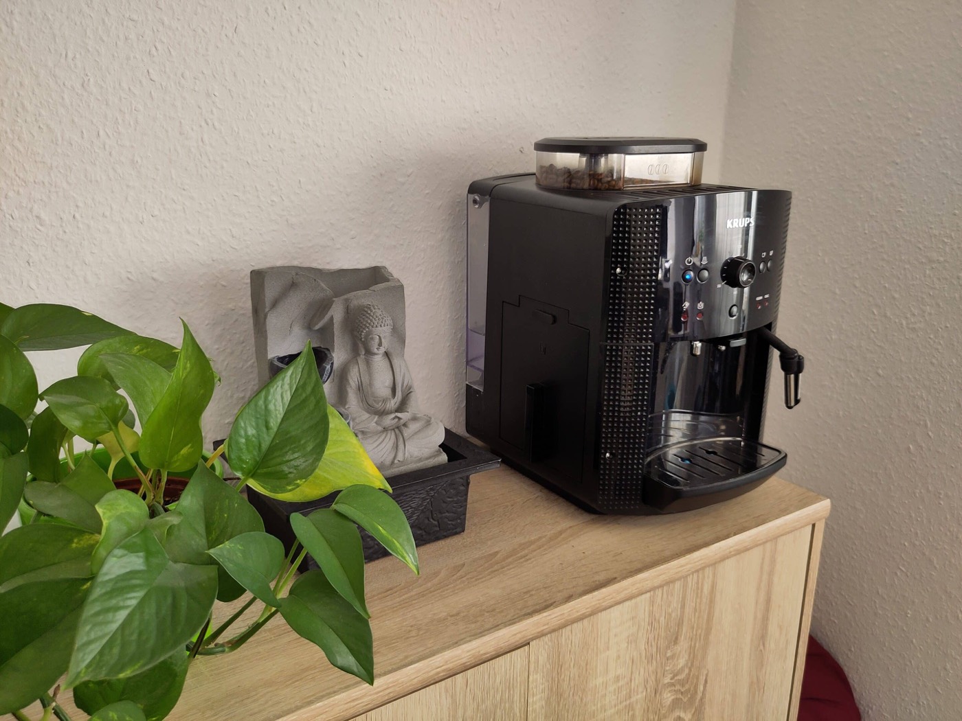 Kaffeemaschine und Pflanze im Beratungsraum in Essen